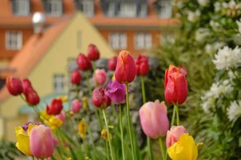 Sonnenresort Ettershaus foto 38