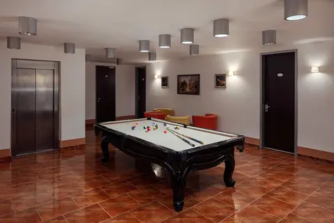 Hotel Ankora Prague in Praag, foto 8
