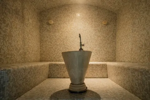 Mimosa Lido Palace Hotel foto 11