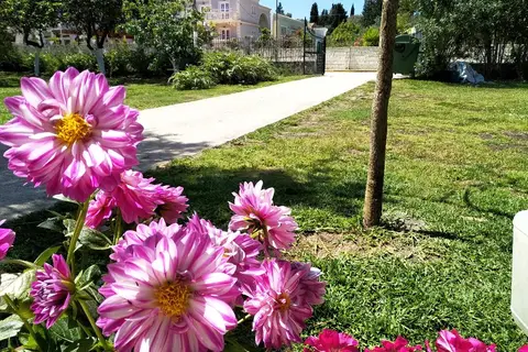 Ever Green in Δημοτική Ενότητα Λευκιμμαίων — foto 20