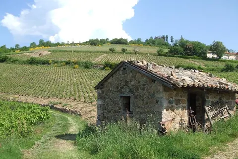 Camping La Grappe Fleurie foto 20