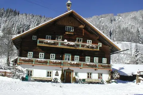 Appartementen Gindlgut in Flachau