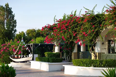 Mitsis Rodos Maris in Κιοτάρι — foto 22