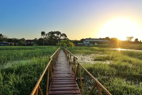 10 daagse reis a taste of Suriname in Anaula