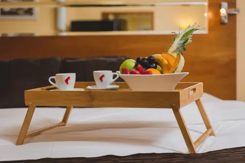 Hotel Podgorica in Podgorica — foto 15