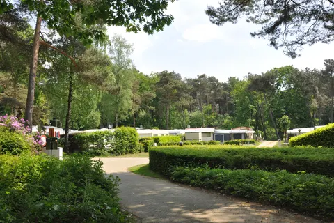 Camping Kempen foto 9