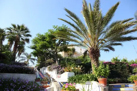 Hotel Paradiso Terme Resort & Spa in Forio — foto 16