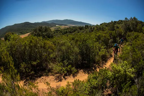 Puntala Camp & Resort foto 17