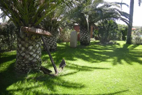 Duca Di Castelmonte foto 5