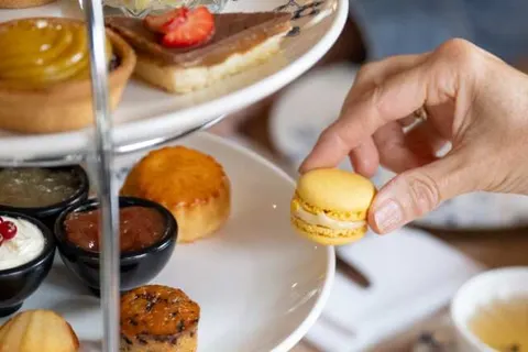 Carlton Ambassador Den Haag foto 16