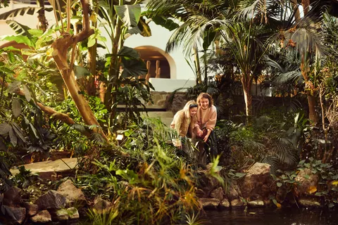 Les Hauts De Bruyères foto 42