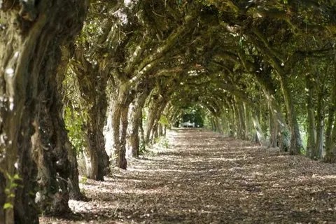 Kasteel Aldenghoor foto 11