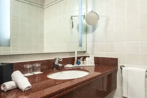 Radisson Blu Hotel, Muscat in Muskaatdruif — foto 23