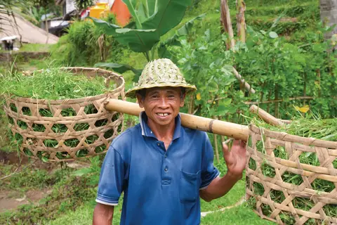 Ontdek Java en Lombok in Nusa Penida — foto 11