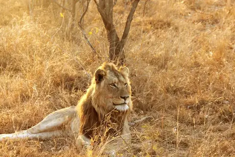 The Ultimate South Africa Experience foto 6