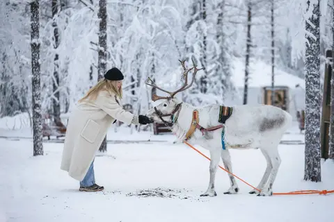 Vaattunki Wilderness Resort in Rovaniemi
