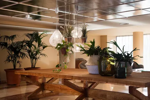 Luna Park Yoga & Spa Hotel foto 6