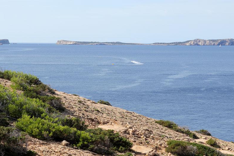 La Torre Ibiza foto 28