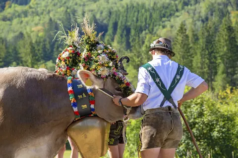 Appartementen Resort Tirol Brixen am Sonnenplateau foto 15