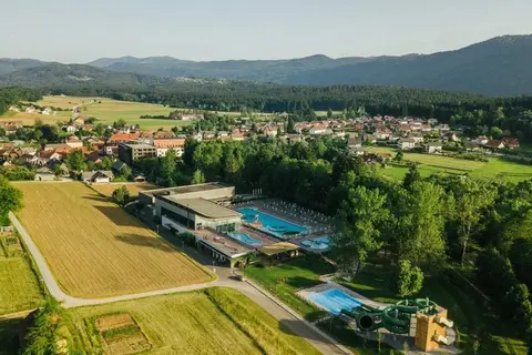 Hotel Balnea in Dolenjske Toplice — foto 25