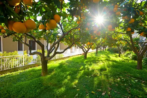 Appartementen Residence Sant'Anna in Pietra Ligure — foto 9