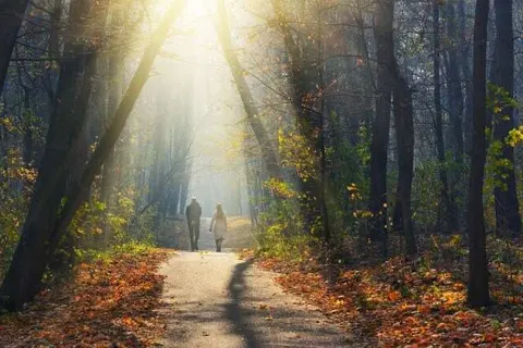 Waldhotel Friedrichroda foto 22