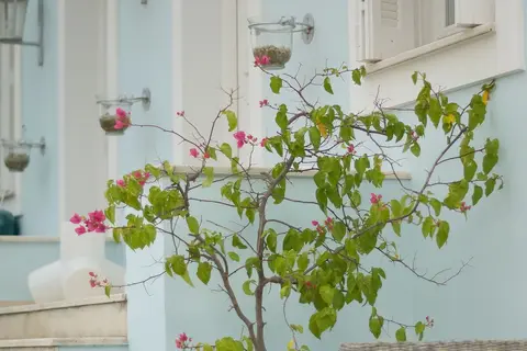 Perantzada Hotel in Βαθύ — foto 22