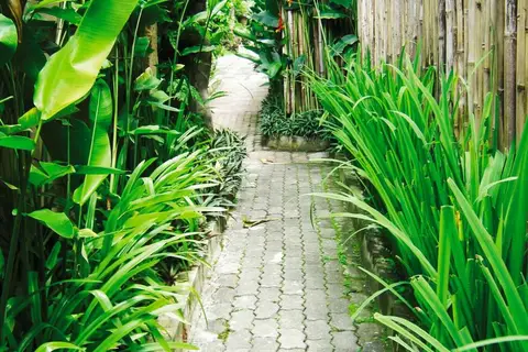 The Ubud Village Hotel in Ubud, foto 24