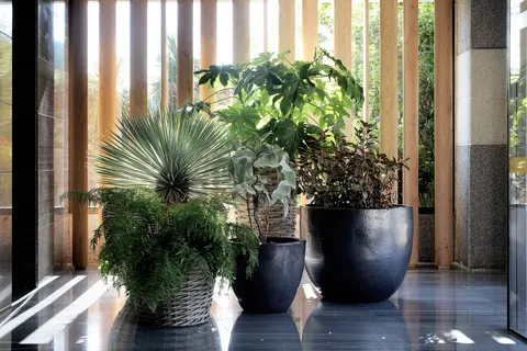 Hotel Augusta Club foto 15