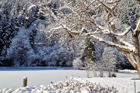 Familienhotel Bad Neunbrunnen foto 10