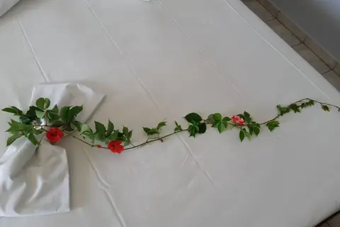 Hotel Astir Palace in Δημοτική Ενότητα Λαγανά — foto 13
