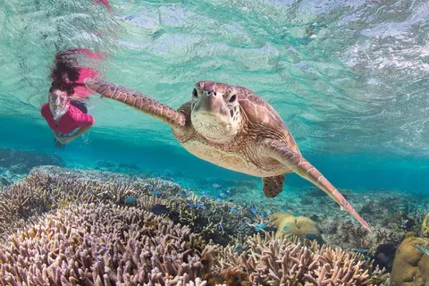 The Ultimate East Coast Experience in Sydney — foto 5