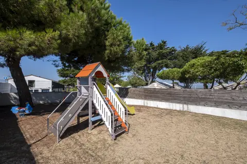 Flower Le Platin Redoute in Rivedoux-Plage — foto 4