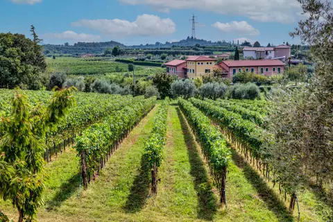 Vakantiepark Tenuta Di Palu in Bardolino, foto 3