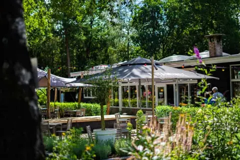 Vakantiepark De Rimboe en De Woeste Hoogte foto 29