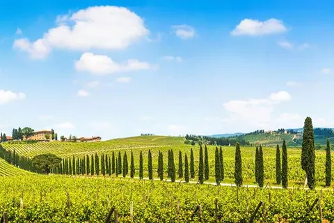 8-daagse rondreis Parels van Toscane foto 1