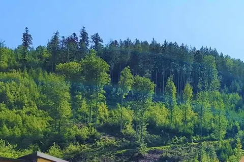 Holzschuh&ampapos;s Schwarzwaldhotel foto 25