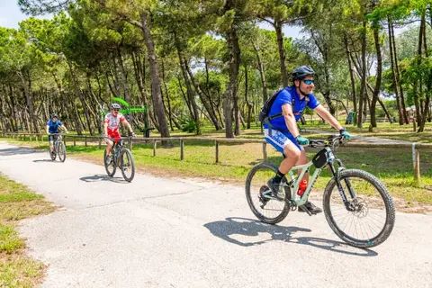 Camping Mare E Pineta in Comacchio — foto 5