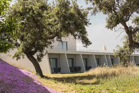 Herdade dos Delgados in Mourão — foto 25