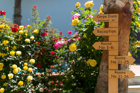 Appartementen Villa Dora foto 16