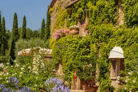 Agriturismo La Sovana in Sarteano — foto 14