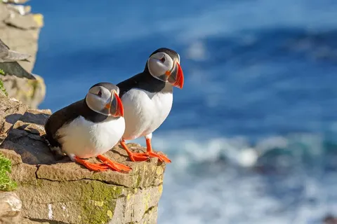 8 daagse fly drive Rondje IJsland foto 1