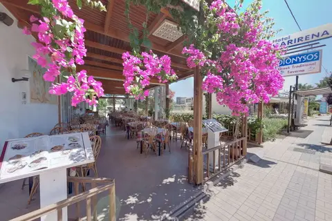 Marirena Hotel in Δημοτική Ενότητα Γαζίου — foto 7