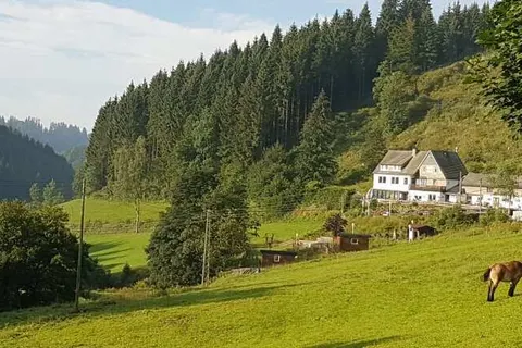 Landgasthof Nesselbach foto 16