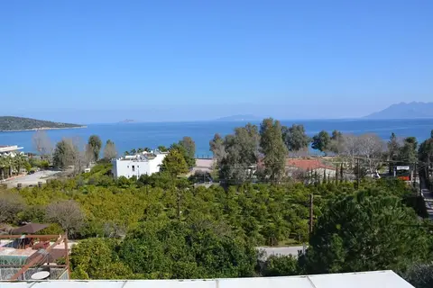 Aristotelis in Aristotelis