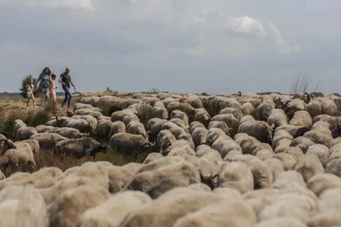 Boutique Hotel, Restaurant & Wellness Westerburcht foto 26