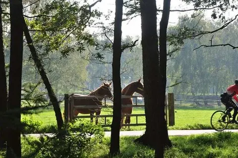 Hotel Umberto foto 23