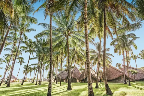 La Pirogue Mauritius in Flic en Flac VCA — foto 17