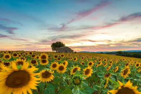 Europe Tents Domaine des Messires foto 15