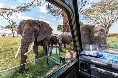 Ontdek Tanzania in Tanzania — foto 9